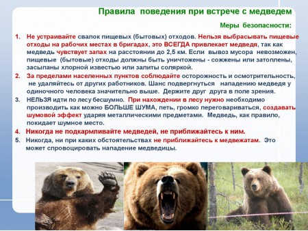 1памятка медведь8