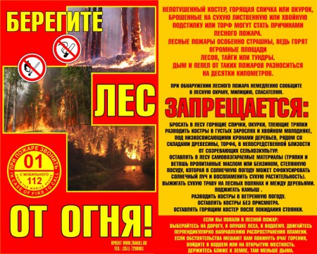 beregi enl