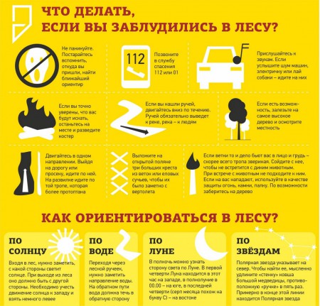 vlesu