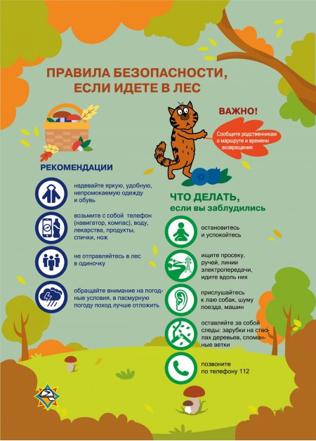 если идете в лес